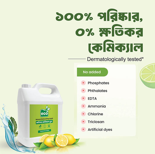 Natural Dishwashing Liquid | ক্ষতিকর কেমিক্যাল মুক্ত